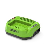 Зарядное устройство Greenworks G60UC 2932007, 60V, 2А