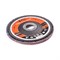 Лепестковый круг для шлифования по нержавеющей стали FoxWeld FTL Everest 29 125 х 22,2 мм P100 - фото 363100 Лепестковый круг для шлифования по нержавеющей стали FoxWeld FTL Everest 29 125 х 22,2 мм P100 - фото 363100
