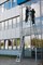 Лестница Krause Stabilo Professional для чистки стекол, набор из 3 частей 842091 - фото 398676 Лестница Krause Stabilo Professional для чистки стекол, набор из 3 частей 842091 - фото 398676