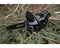 Аккумуляторная одноручная цепная пила  Greenworks GD40TCS 2003807 - фото 405121 Аккумуляторная одноручная цепная пила  Greenworks GD40TCS 2003807 - фото 405121