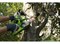 Пила цепная аккумуляторная G-MAX 40V GREENWORKS G40CS30 Greenworks 20117 - фото 683948 Пила цепная аккумуляторная G-MAX 40V GREENWORKS G40CS30 Greenworks 20117 - фото 683948