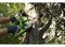 Пила цепная аккумуляторная G-MAX 40V GREENWORKS G40CS30K4 c АКБ 4АЧ и ЗУ Greenworks 20117UB - фото 686986 Пила цепная аккумуляторная G-MAX 40V GREENWORKS G40CS30K4 c АКБ 4АЧ и ЗУ Greenworks 20117UB - фото 686986